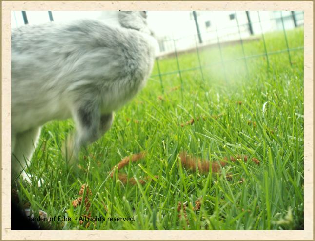 PICT0429